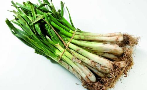 Calçots